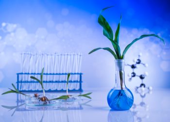 The Role of AI and Biotechnology in Developing New Aroma Profiles