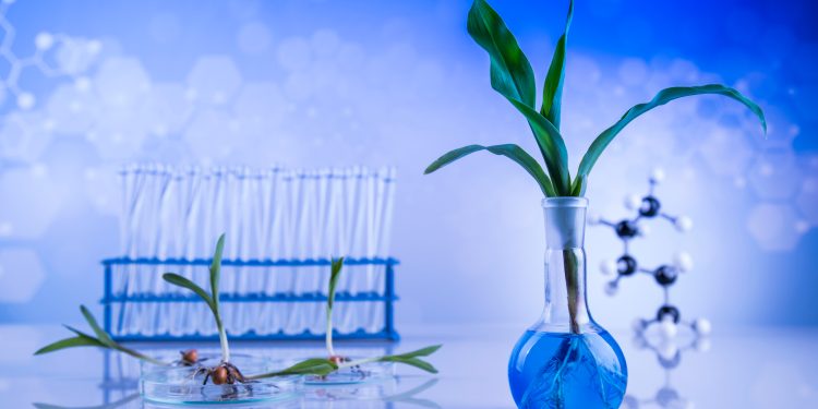 The Role of AI and Biotechnology in Developing New Aroma Profiles